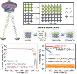 Mutual stabilization strategy enables efficient and durable perovskite solar cells.