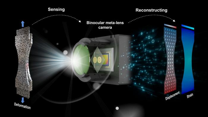 Schematic of the binocular meta-lens digital image correlation