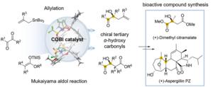 SKKU Develops New Asymmetric Catalytic Reactions for Complex Molecule Synthesis - News Directory 3