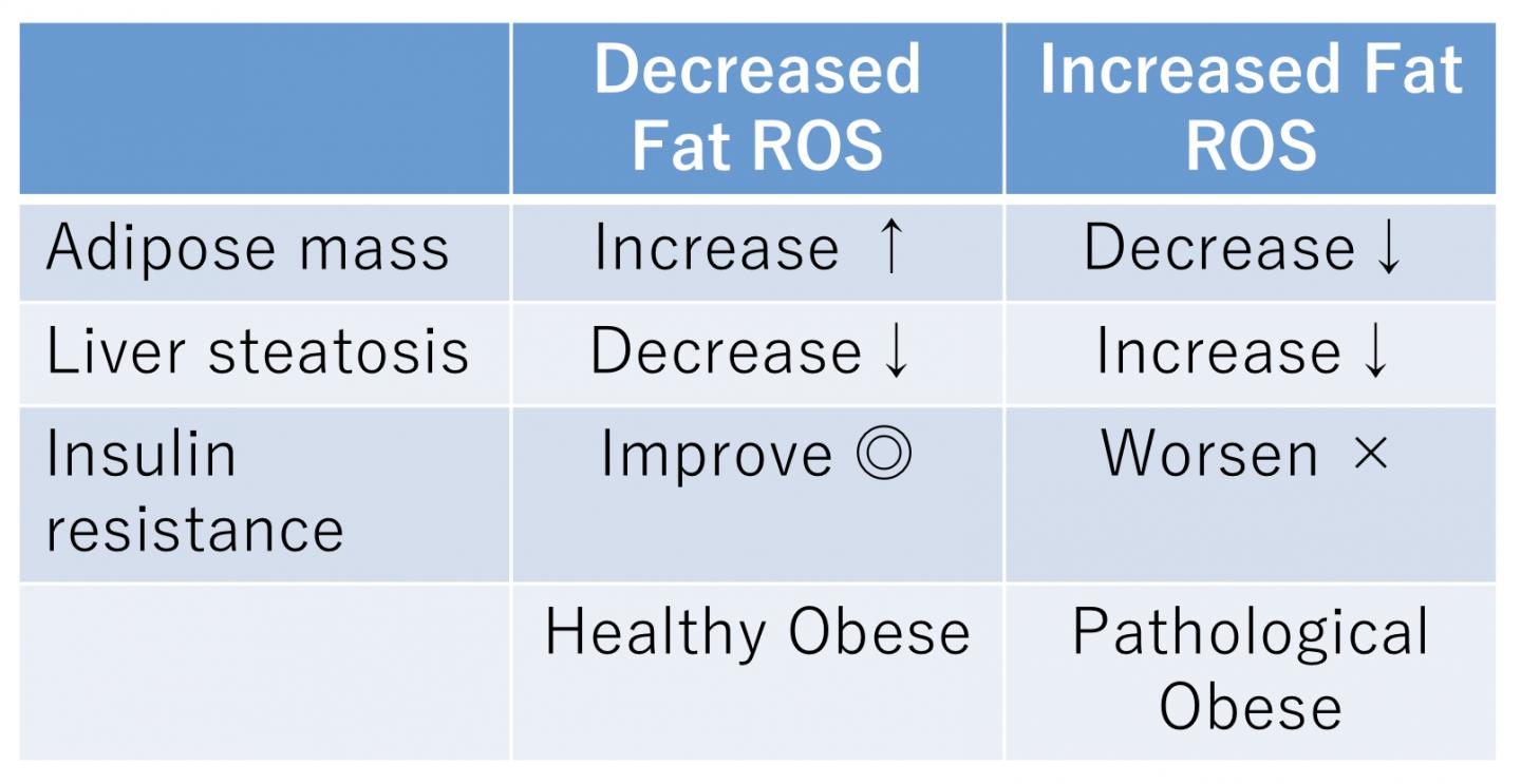 Fig.2