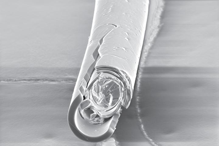 Fractured spicule