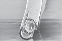 Fractured spicule