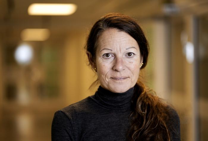 Pernilla Wittung-Stafshede to join faculty with $6 million CPRIT grant