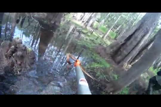 Catch a Snake