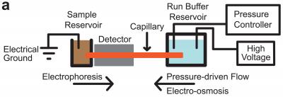 Schematic of NIST GEMBE Sample Analyzer