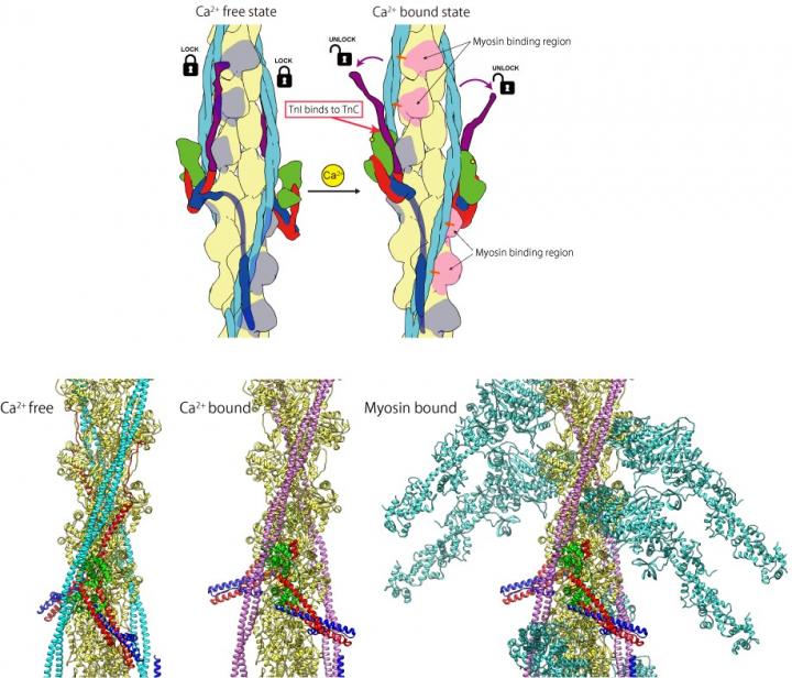 Fig.3