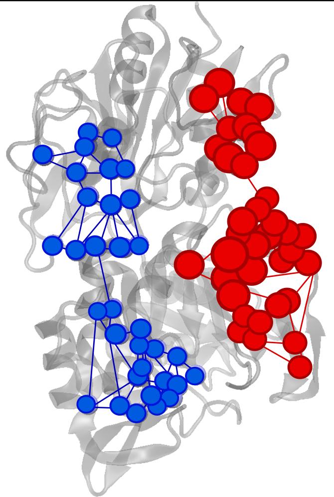 Understanding Enzymes