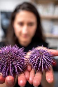 Ocean Scientist Melissa Pespeni