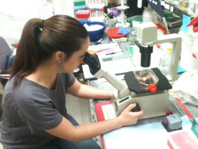 Unraveling Trypanosomal Replication