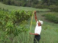 Reforestation Eesearch