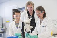 Structural Biology Researchers