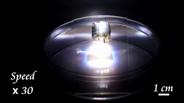 Solar-Powered Moisture Harvester Collects and Cleans Water from Air