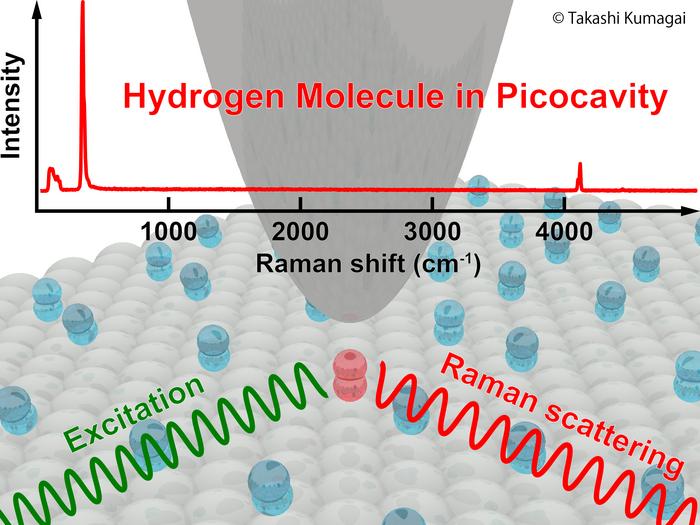 Raman scattering of a hydrogen molecule in a plasmonic picocavity