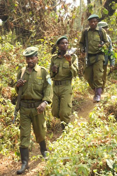 Park Rangers in the Greater Virunga Landscape