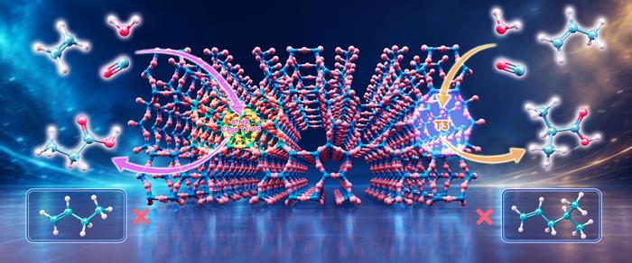 Zeolite pore architecture unlocks new olefin carbonylation reactions
