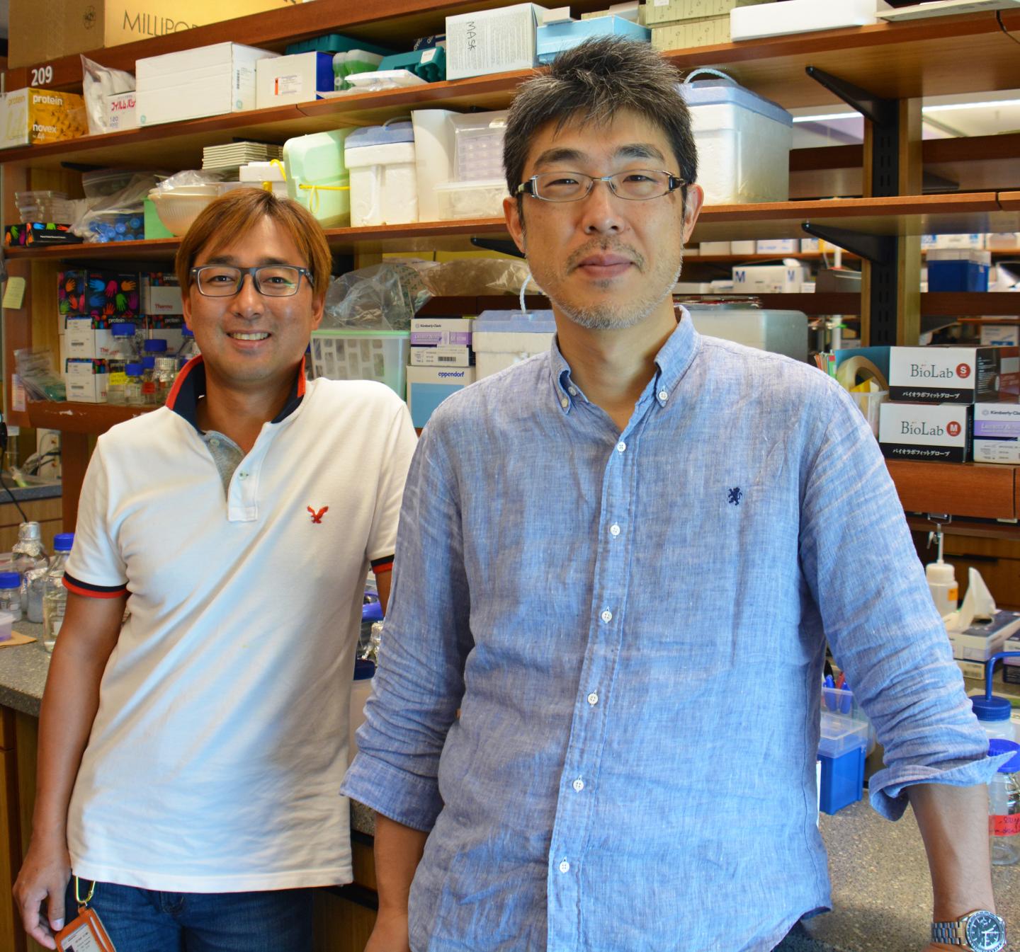 Drs.  Hideyuki Matsunami and Young-Ho Yoon, Okinawa Institute of Science and Technology