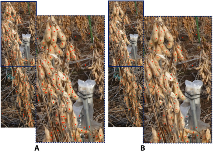 Fig. 5. The comparisons between the original P2PNet