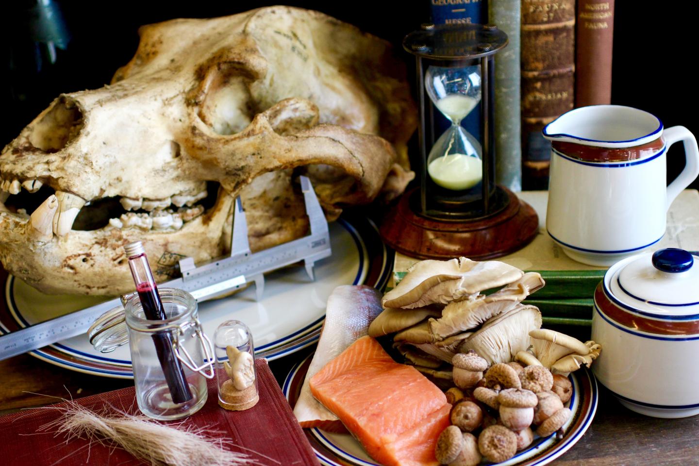 Dissecting the Animal Diet