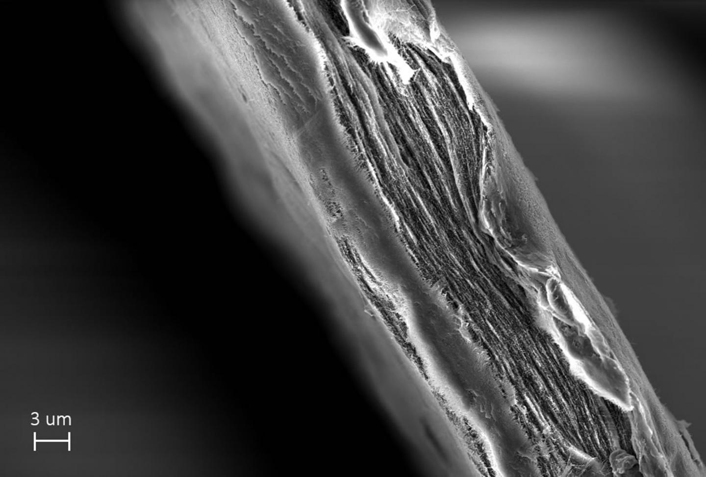 The Sheet Made of Cellulose Nanofibers in the Mille-Feuille Filter