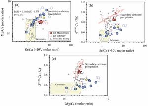 Relationships between (a) Sr/Ca and Mg/Ca molar ratios, (b) Sr/Ca and Ca isotopes, and (c) Mg/Ca and Ca isotopes in both dissolved and suspended loads of the Lancang River.