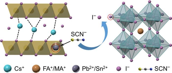 Schematic crystallization mechanism of Cs0.1FA0.9Pb0.9Sn0.1I3 perovskite assisted by thiocyanate (SCN⁻) additives