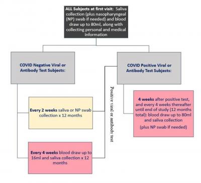 SPARTA Study Visit Timeline 