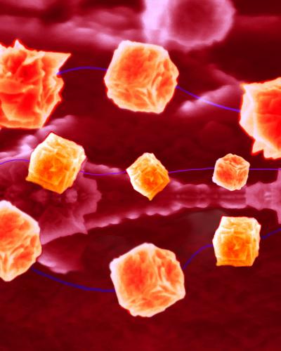 Nanocube