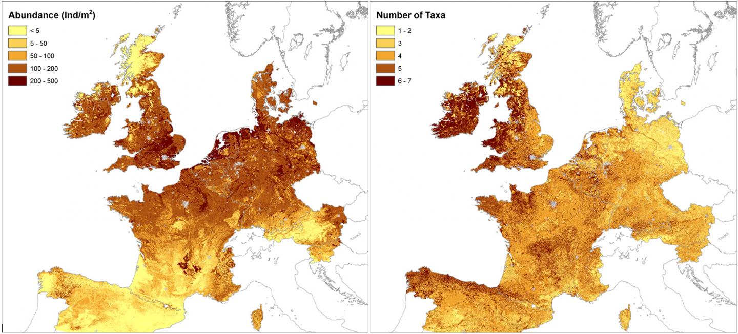 The First European Earthworm Map is Drawn