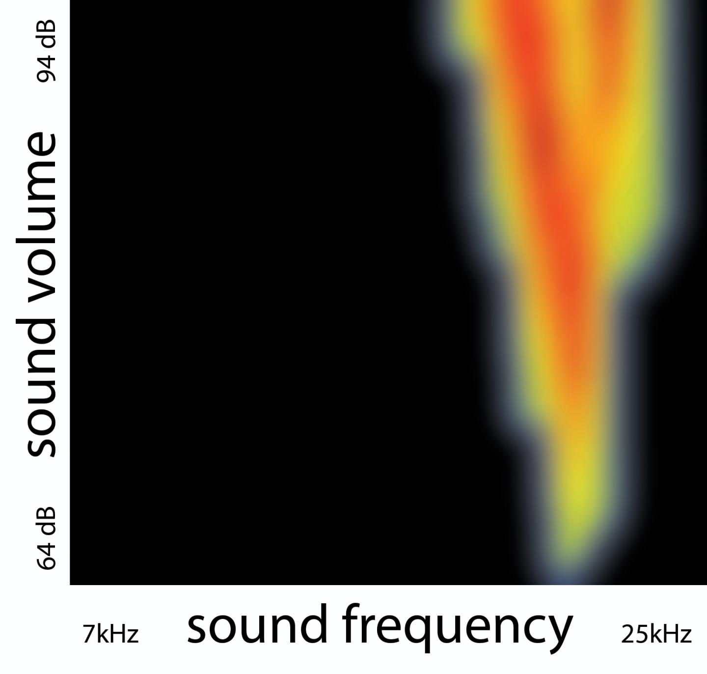 Sound Response in a Subplate Neuron
