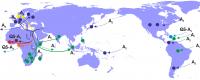 Global HBV-A Spread
