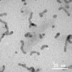 Watching Nanocrystals Grow in Liquid (3 of 5)