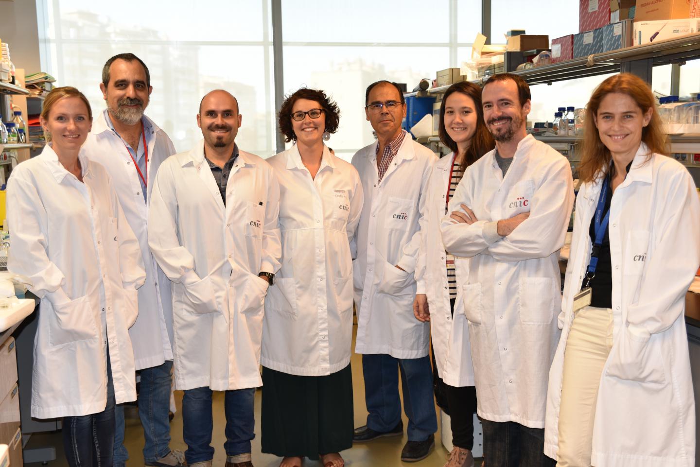 Researchers