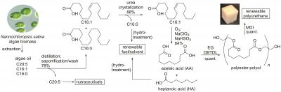 Pathway to Renewables
