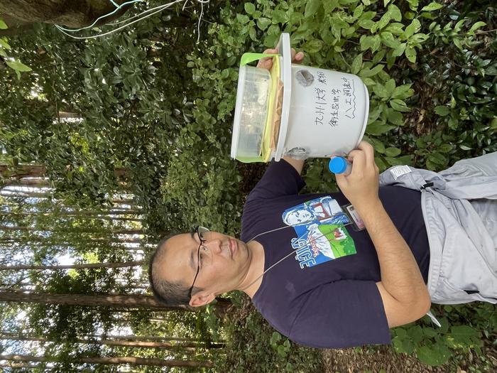 Examining the insect trap