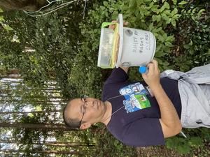 Examining the insect trap