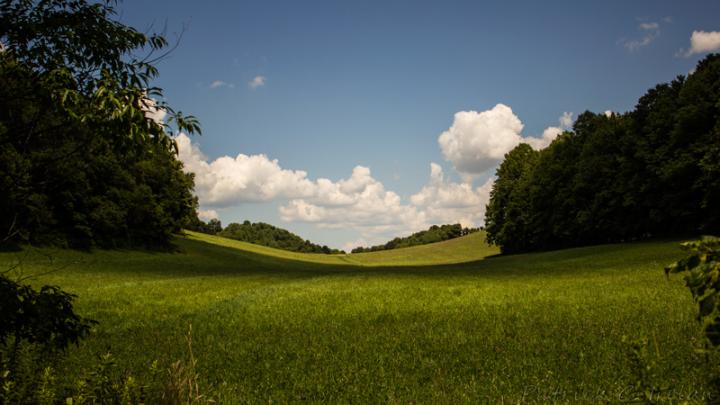 Rolling Meadow