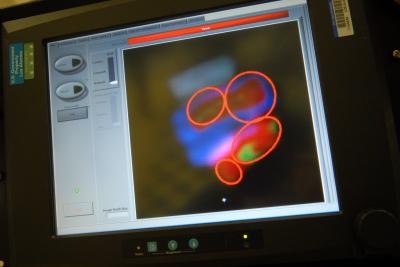 MagViz Screen Image