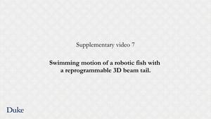 Swimming Robots