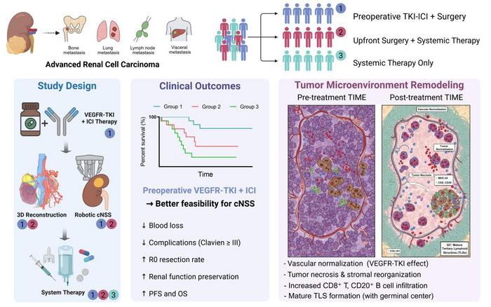 Preoperative VEGFR-TKI Plus ICI Therapy Facilitates 3D-Guided Cytoreductive Nephron-Sparing Surgical Feasibility and Immune Remodeling in Advanced Renal Cell Carcinoma