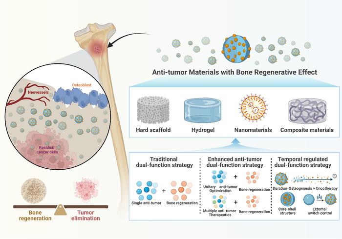 Fig. 1. Biomaterial-based bifunctional strategies for antitumor and bone regeneration.