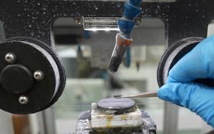 High-Energy-Density Barocaloric Material Could Enable Smaller, Lighter Solid-State Cooling Devices