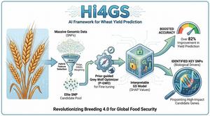 In The Crop Journal, researchers introduced Hi4GS, an AI-driven framework improving wheat yield prediction accuracy by 82%. Hi4GS streamlines SNP selection, employs intelligent optimization, and uncovers key genetic markers, enabling transparent genomic