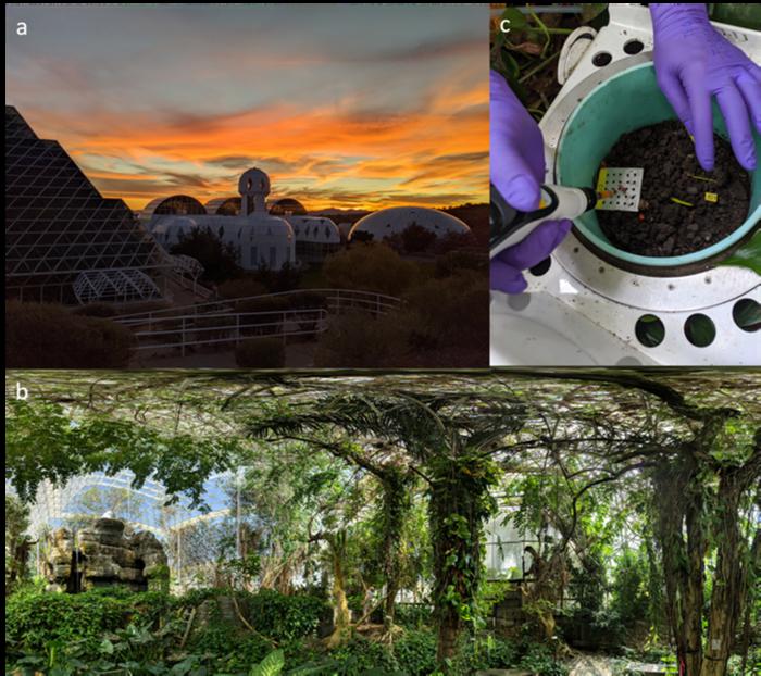 During Droughts, Soil Microbes Produce Volatile Carbon Metabolites