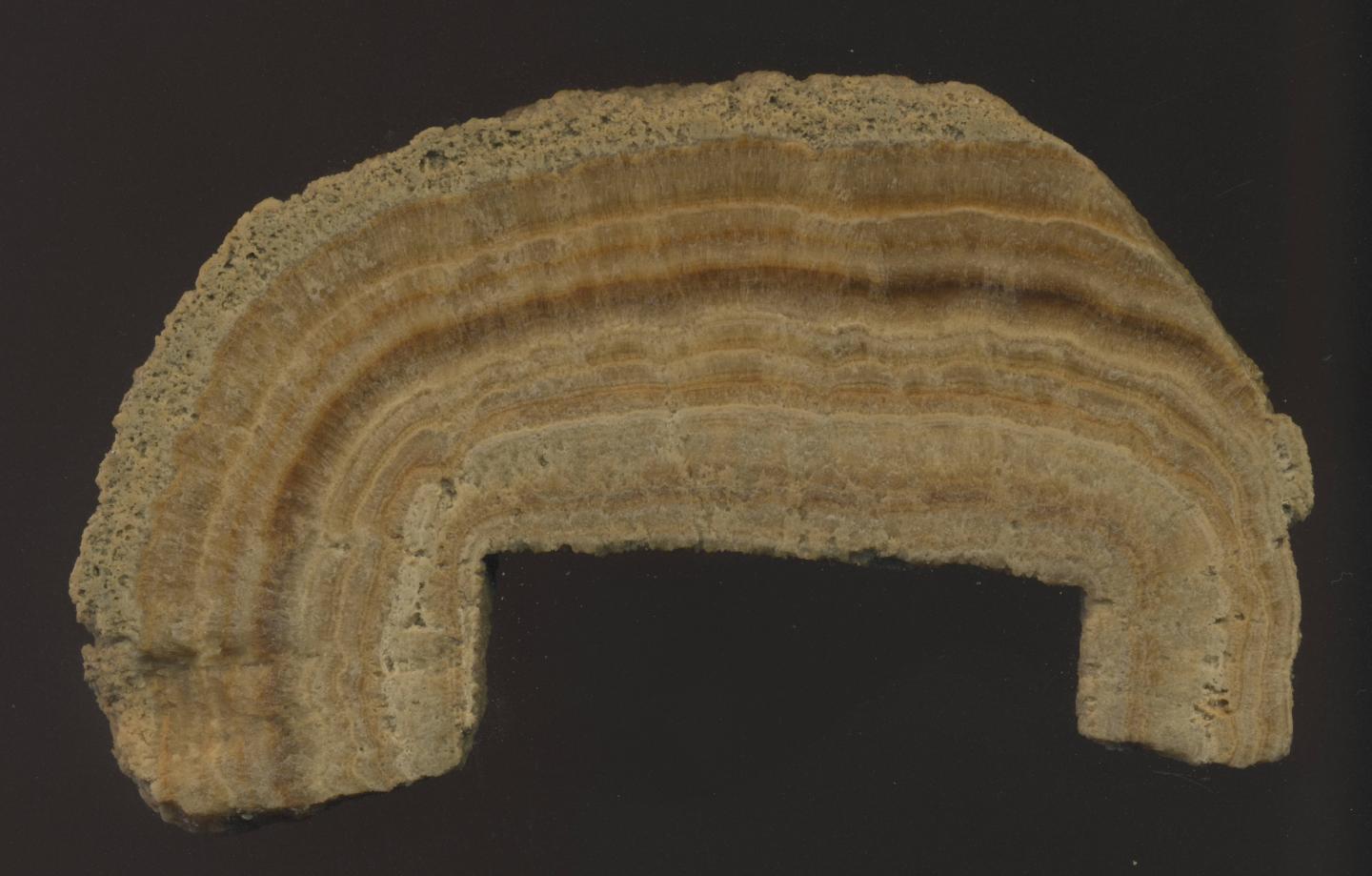 Second Century Roman Watermill Not What Researchers Have Thought (4 of 5)