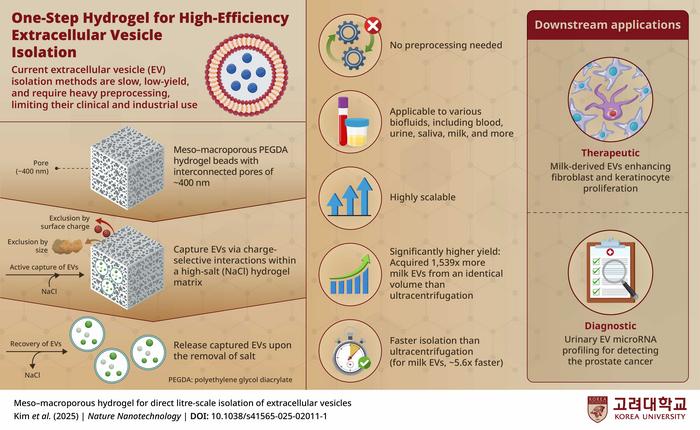 Hydrogel-Based Extracellular Vesicle Isolation