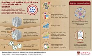 Hydrogel-Based Extracellular Vesicle Isolation