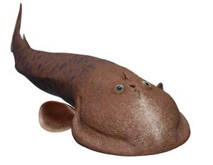 Norselaspis life reconstruction