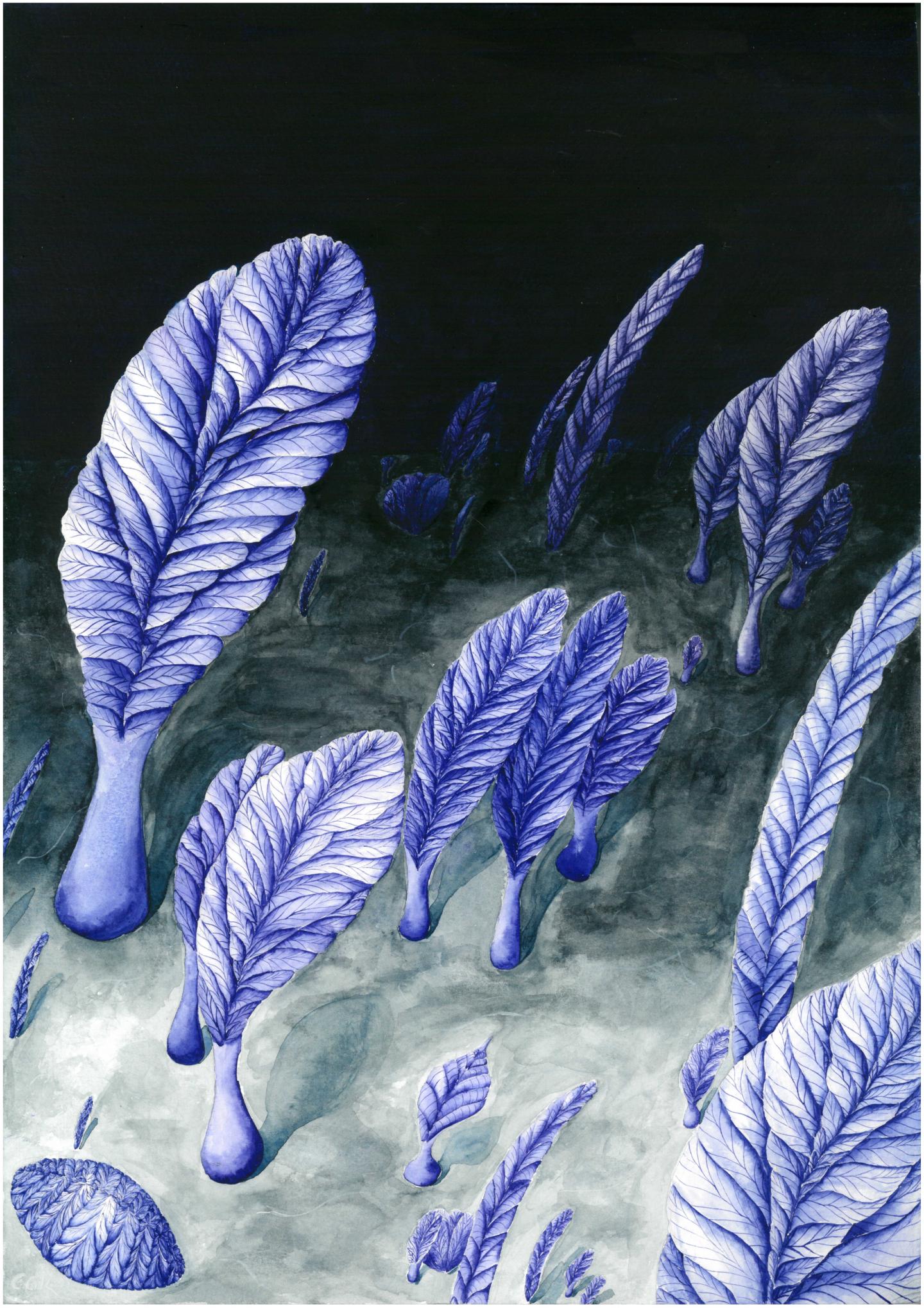 Artist's Impression of Rangeomorphs