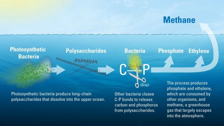Methane