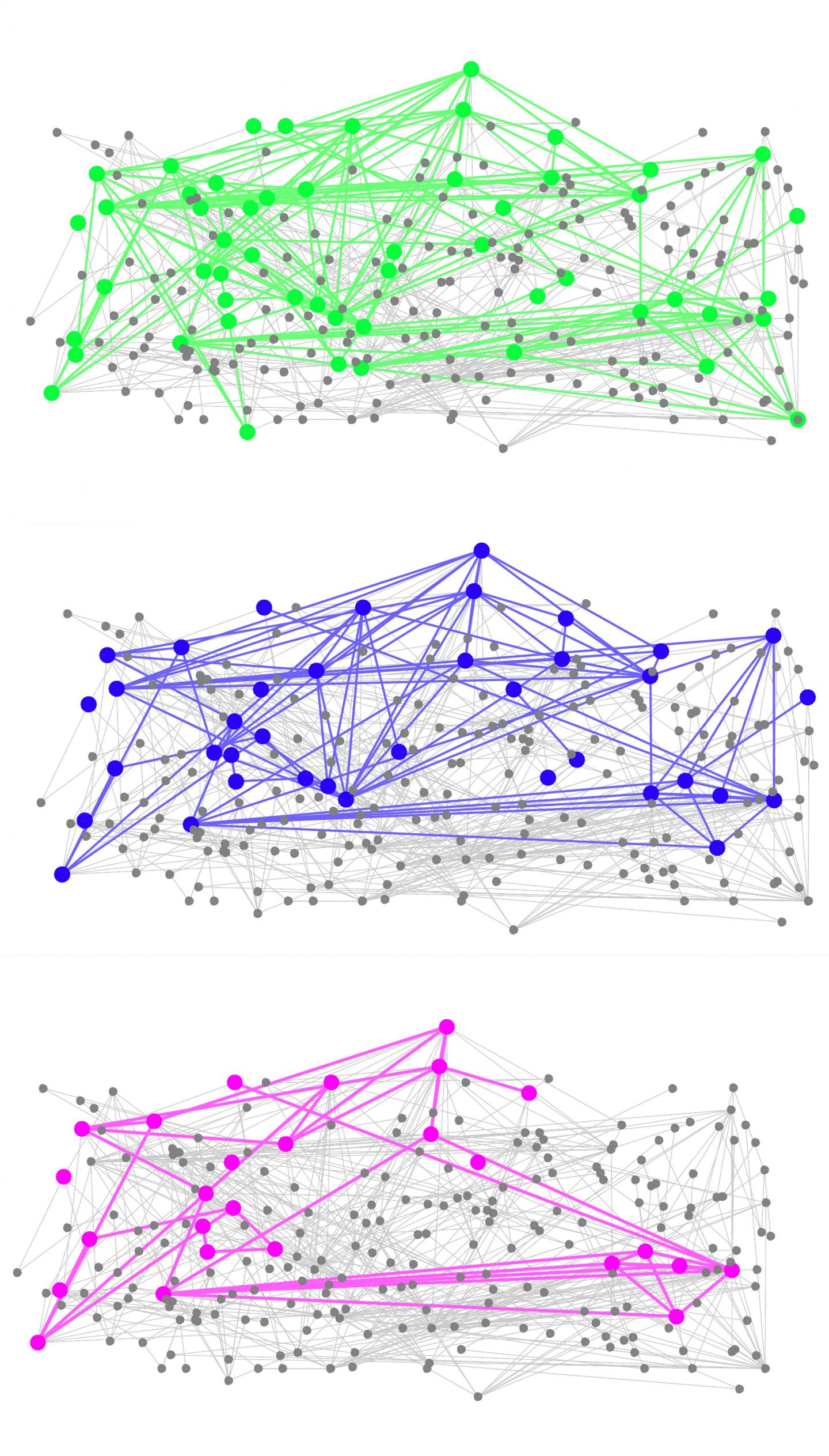 Neuron Hub Maps